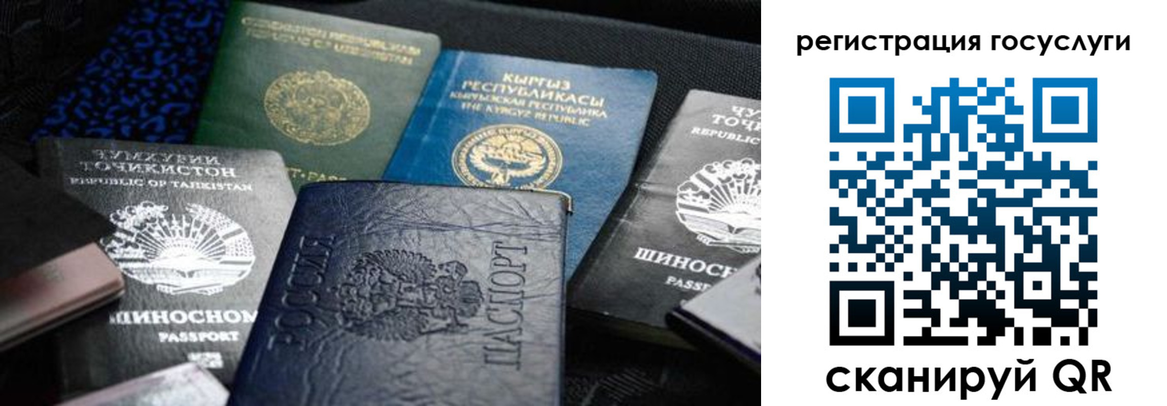 прописка ребенка в Свободном